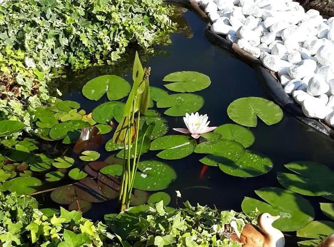 Garda Dreams