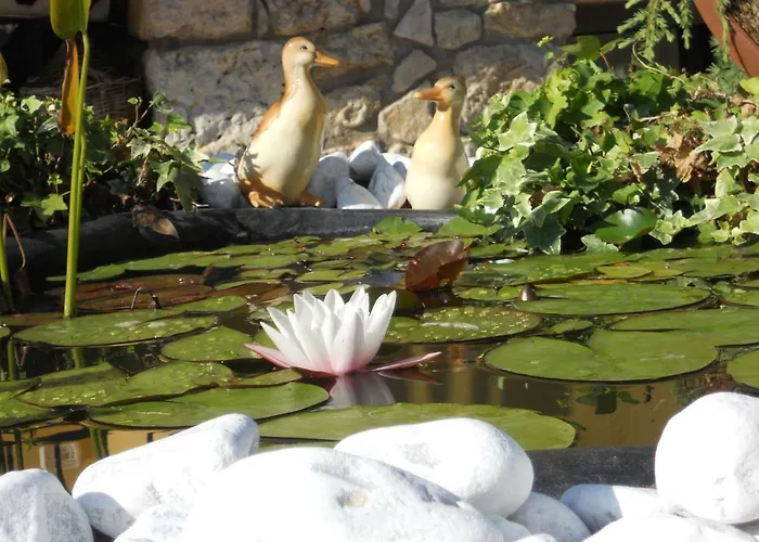 Garda Dreams Apartamento