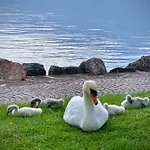 Garda Dreams *